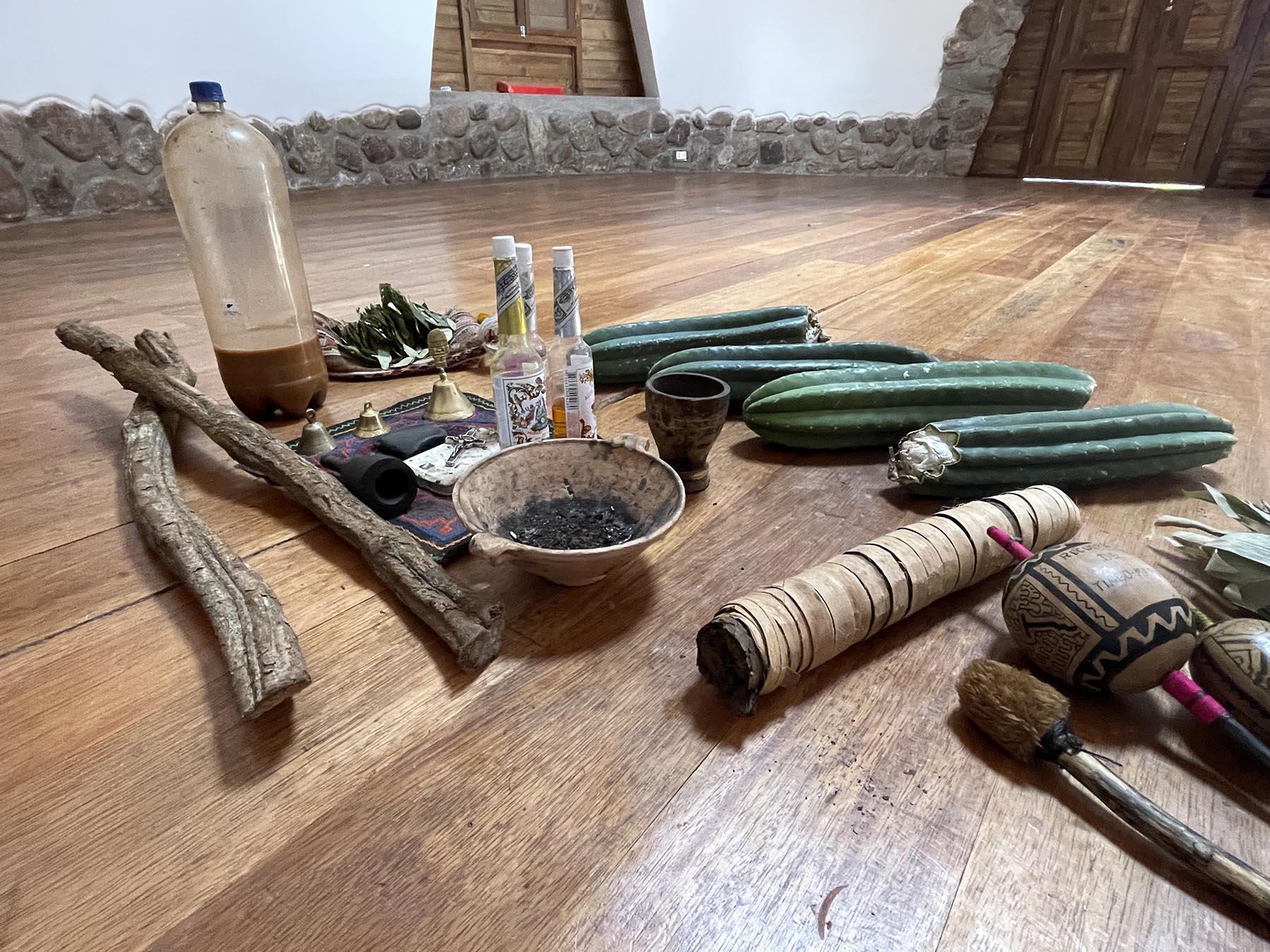 Master Plants: Retreats, Amazonian Cosmovision, and Psychological Integration