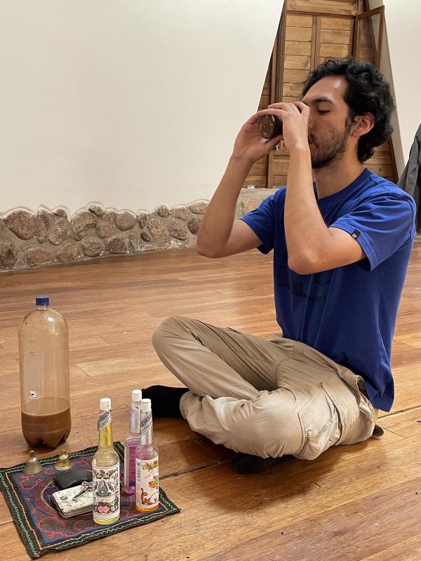 Is Ayahuasca Safe? Pharmacology, Dosage, and Scientific Evidence