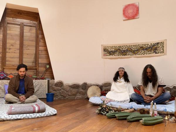 Master Plants: Retreats, Amazonian Cosmovision, and Psychological Integration